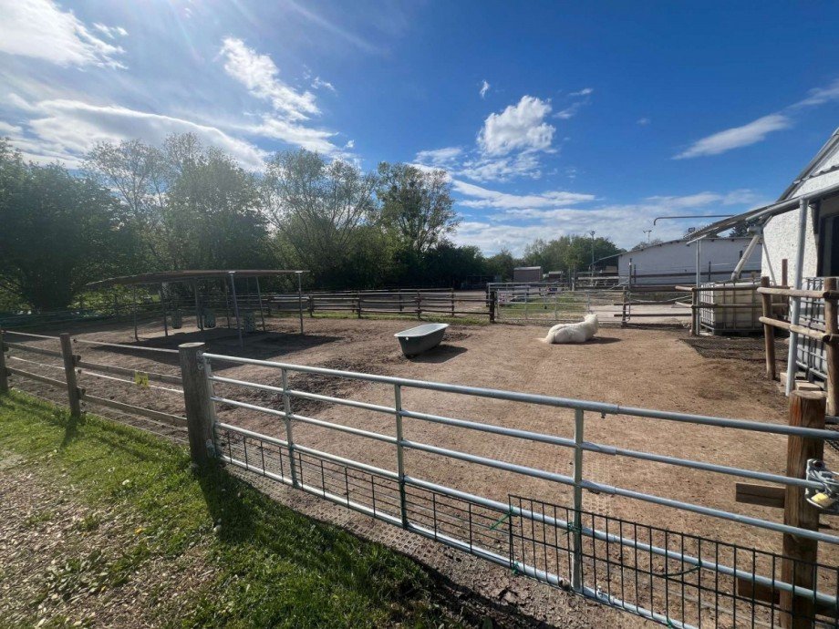 Koppel Einfamilienhaus Wiesbaden