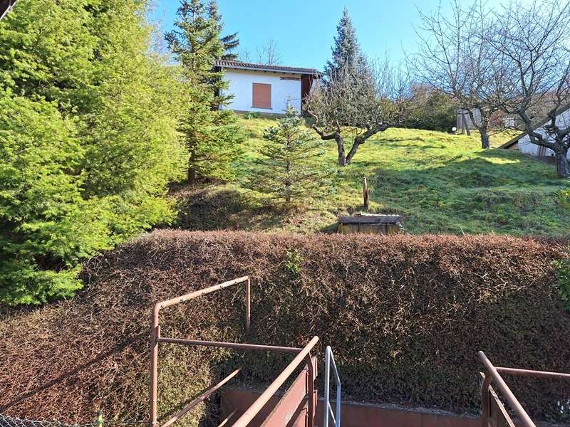 Gartenansicht Einfamilienhaus Monzingen