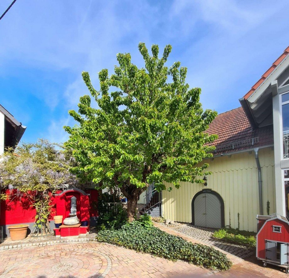 Blick in Innenhof B�ro / Praxis Hargesheim