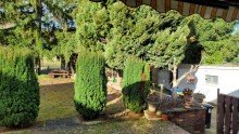 Gartenansicht Einmalige Gelegenheit! Einfamilienhaus mit sch�nem Gartengrundst�ck in Neu-Bamberg zu verkaufen!