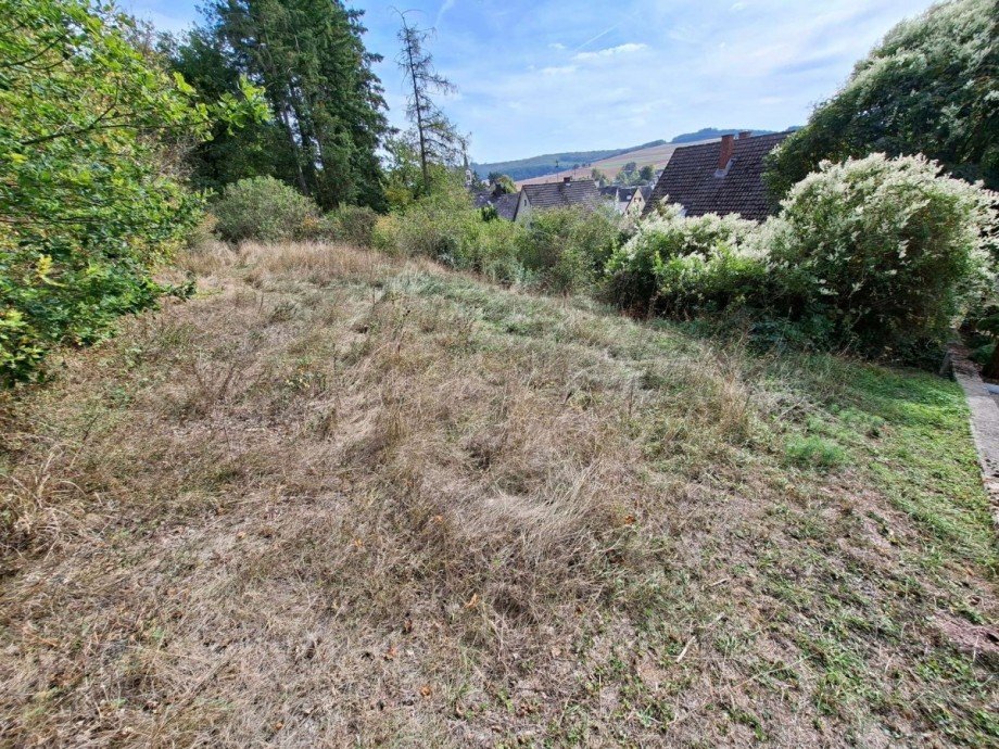 Grundst�ck Einfamilienhaus Schmidthachenbach
