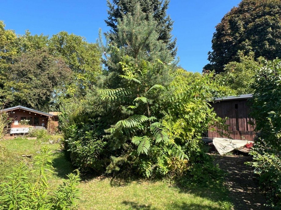 Garten Haus Bad Sobernheim