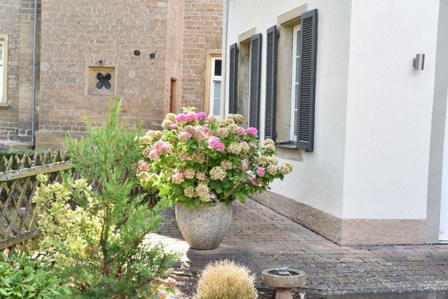 DSC_3084 Villa Bad Sobernheim