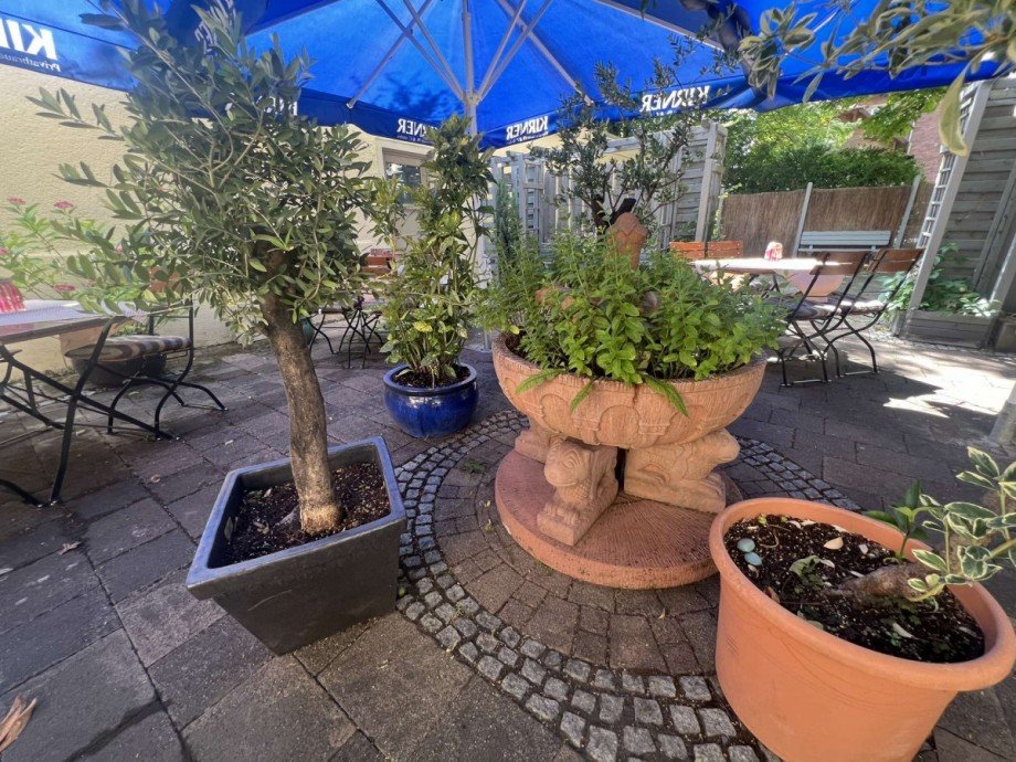 Aussenterrasse B�ro / Praxis Martinstein