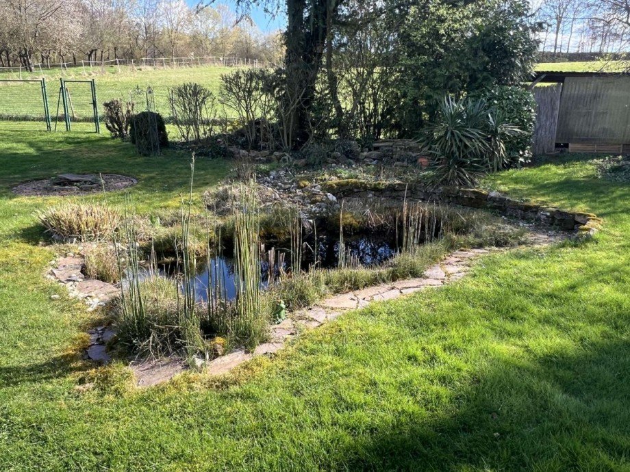 Teich Zweifamilienhaus Meddersheim