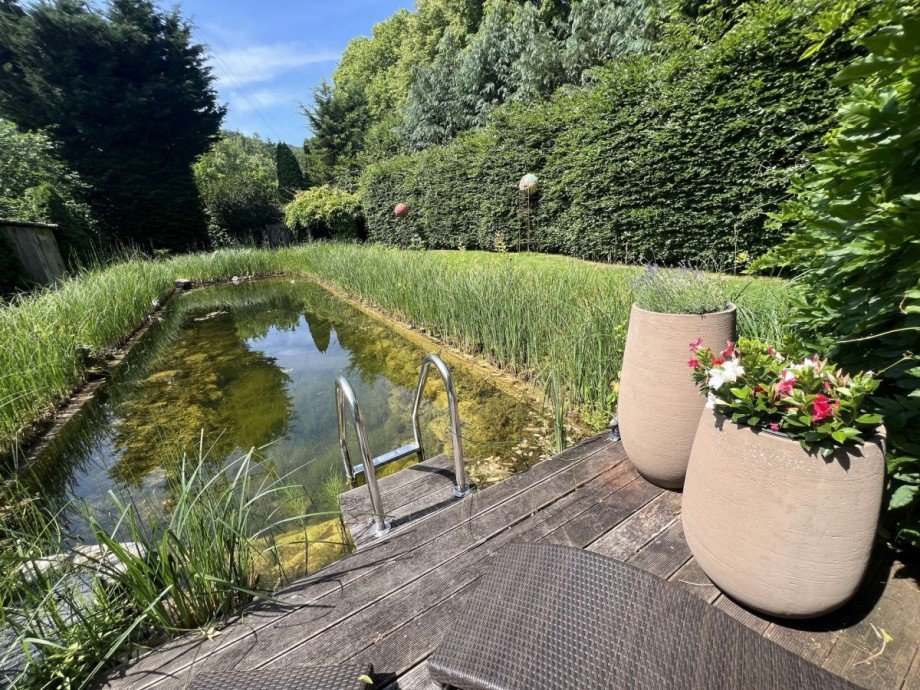 Schwimmteich Einfamilienhaus Idar-Oberstein