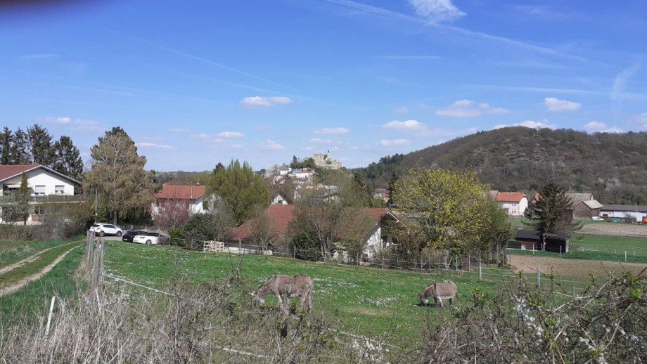 Neu-Bamberg Einfamilienhaus Neu- Bamberg
