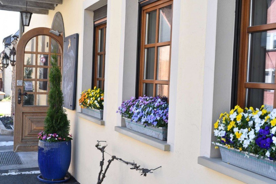 Eingangsbereich Pensionen Martinstein