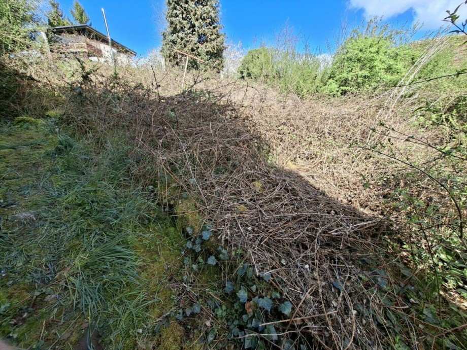Garten Einfamilienhaus Oberreidenbach