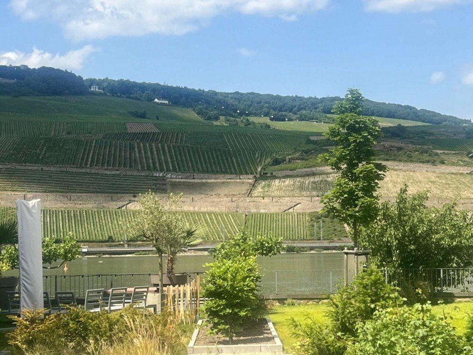Rheinblick von Balkon Etagenwohnung Bingen