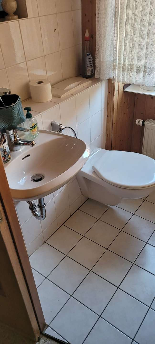 G�ste-WC EG Einfamilienhaus Desloch