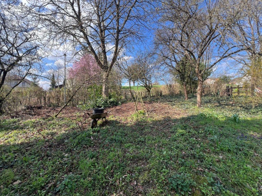 Grundst�ck Grundst�ck Nu�baum