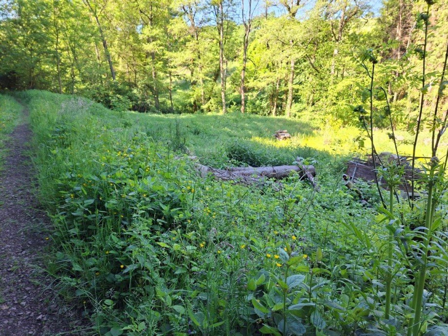 Wiesengrundst�cke Grundst�ck Schmittweiler