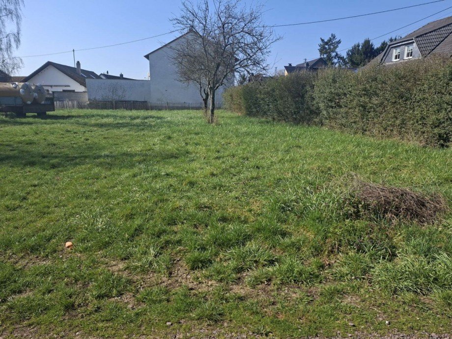 Baugrundst�ck Renditeobjekt Waldb�ckelheim