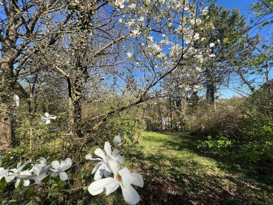 Grundst�ck Grundst�ck Nu�baum