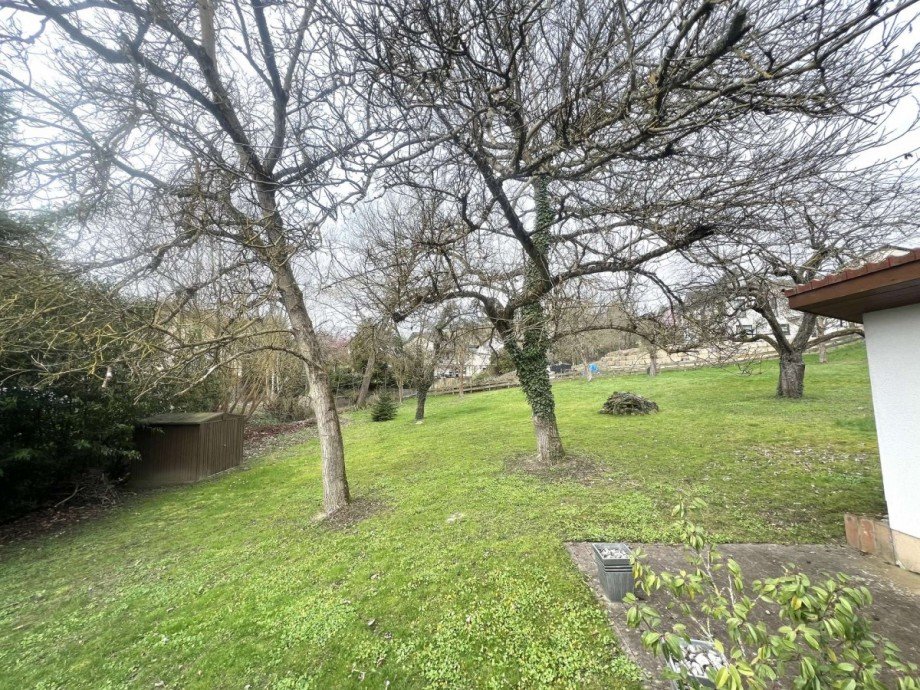 Gartenansicht Renditeobjekt Obermoschel