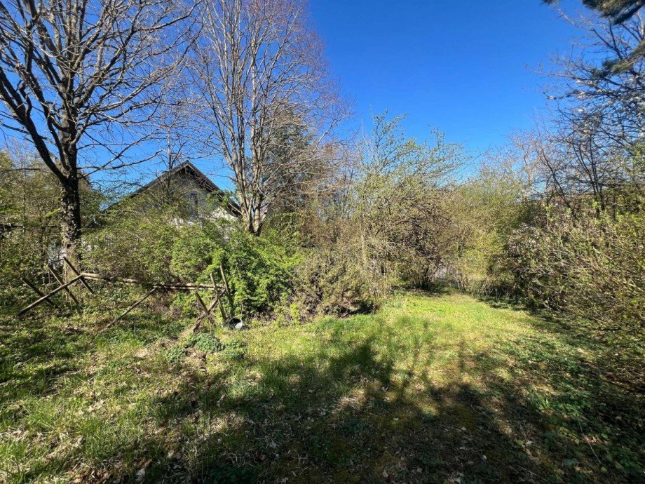 Grundst�ck Grundst�ck Nu�baum
