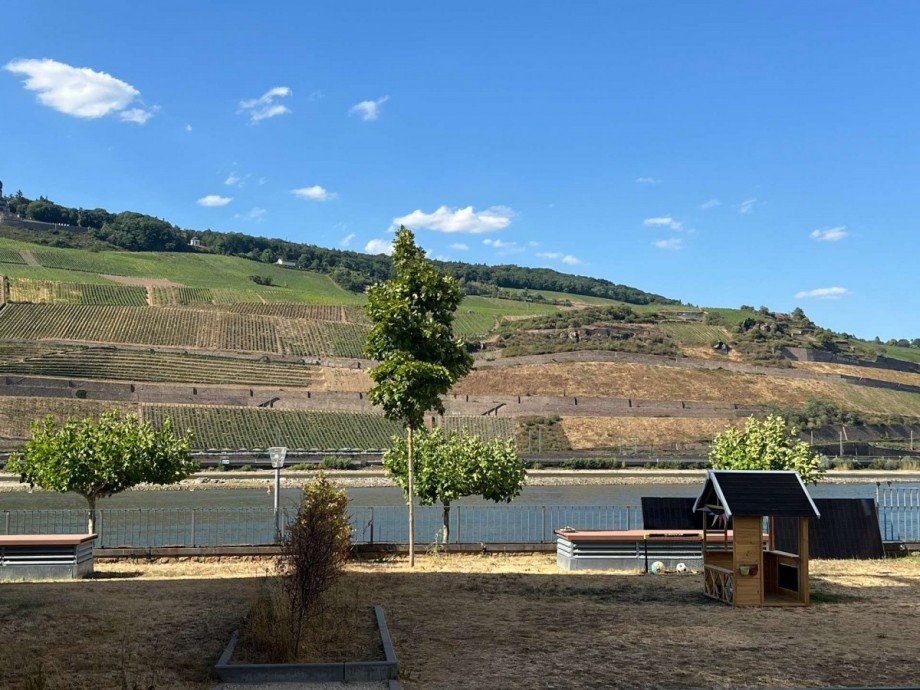 Blick Etagenwohnung Bingen
