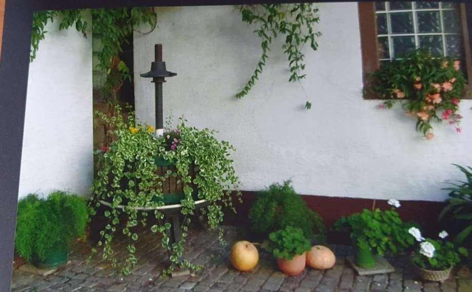 Impressionen Innenhof Bauernhaus Monzingen