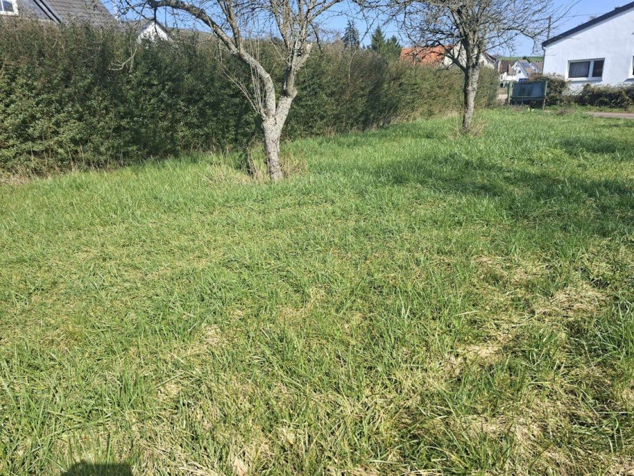 Baugrundst�ck Renditeobjekt Waldb�ckelheim