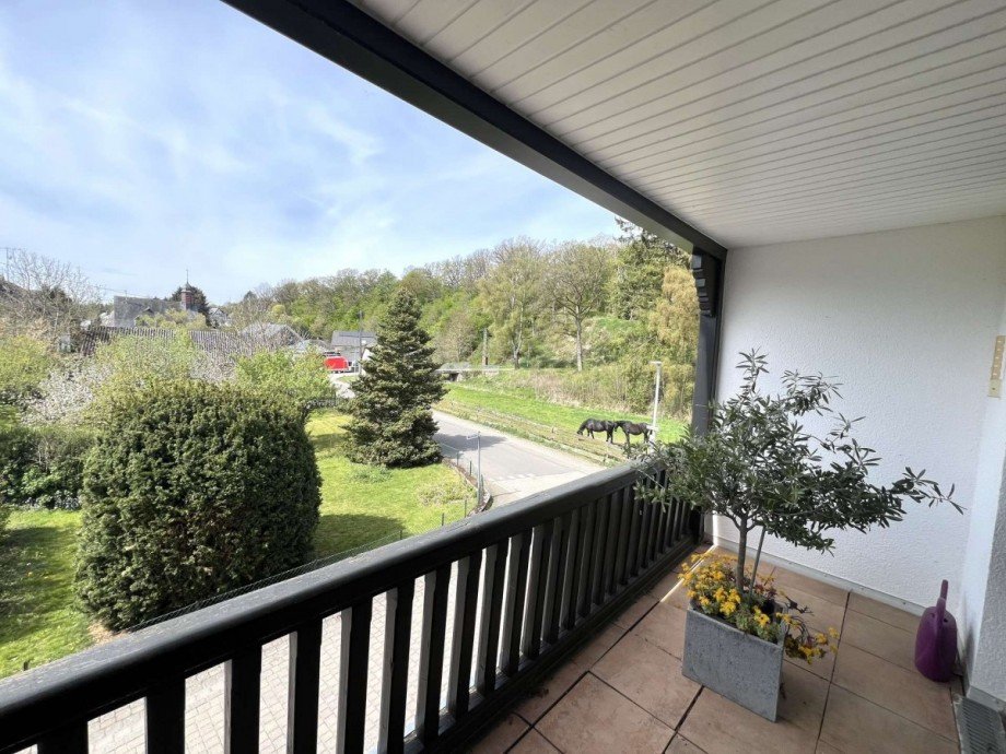 Blick vom Balkon Wohnzimmer OG Einfamilienhaus Tiefenbach