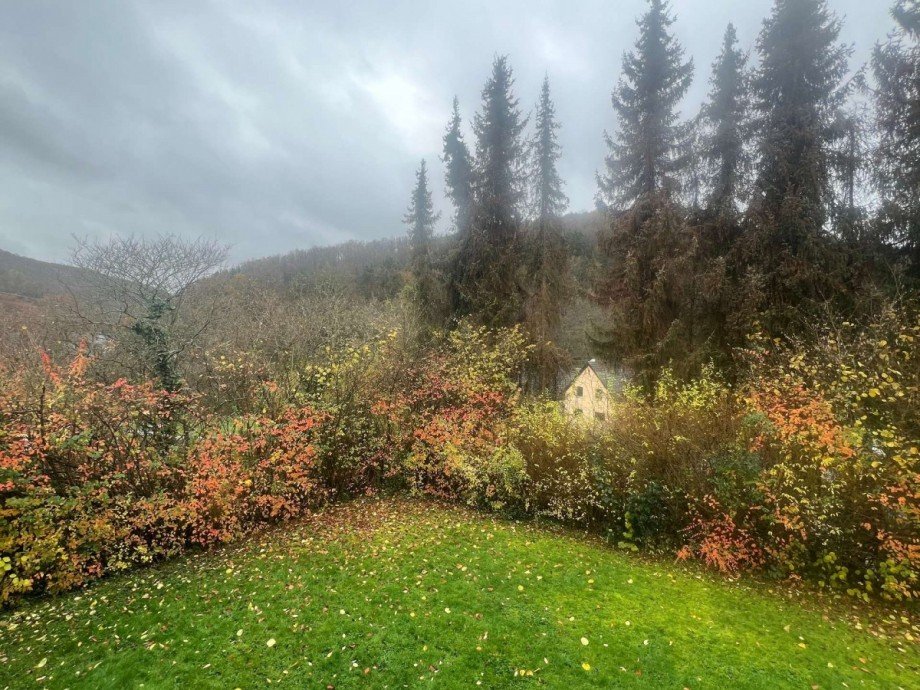 Blick von Balkon EG Haus Bruschied