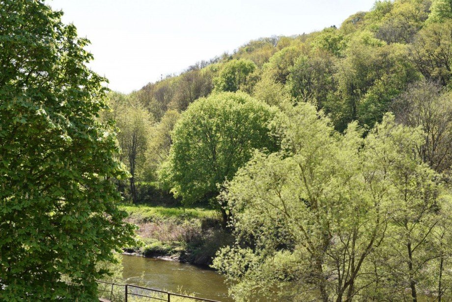 Blick zu dem Flu� Nahe und ins Gr�ne B�ro / Praxis Martinstein