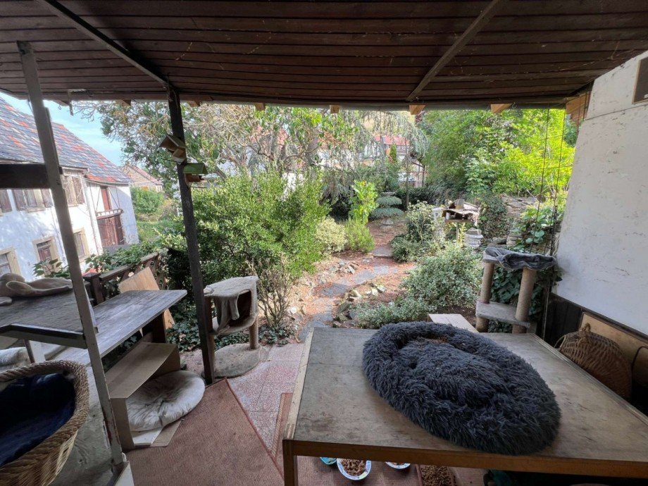 �berdachte Terrasse OG Vorderhaus Renditeobjekt Odernheim