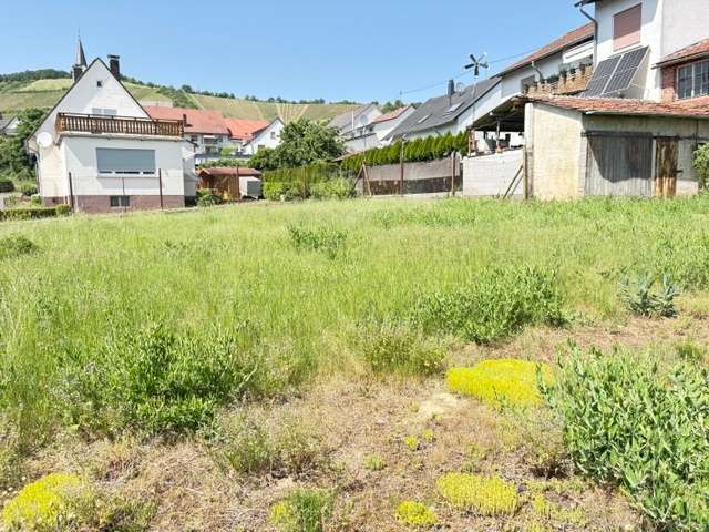 Gartengrundst�ck Einfamilienhaus Bockenau