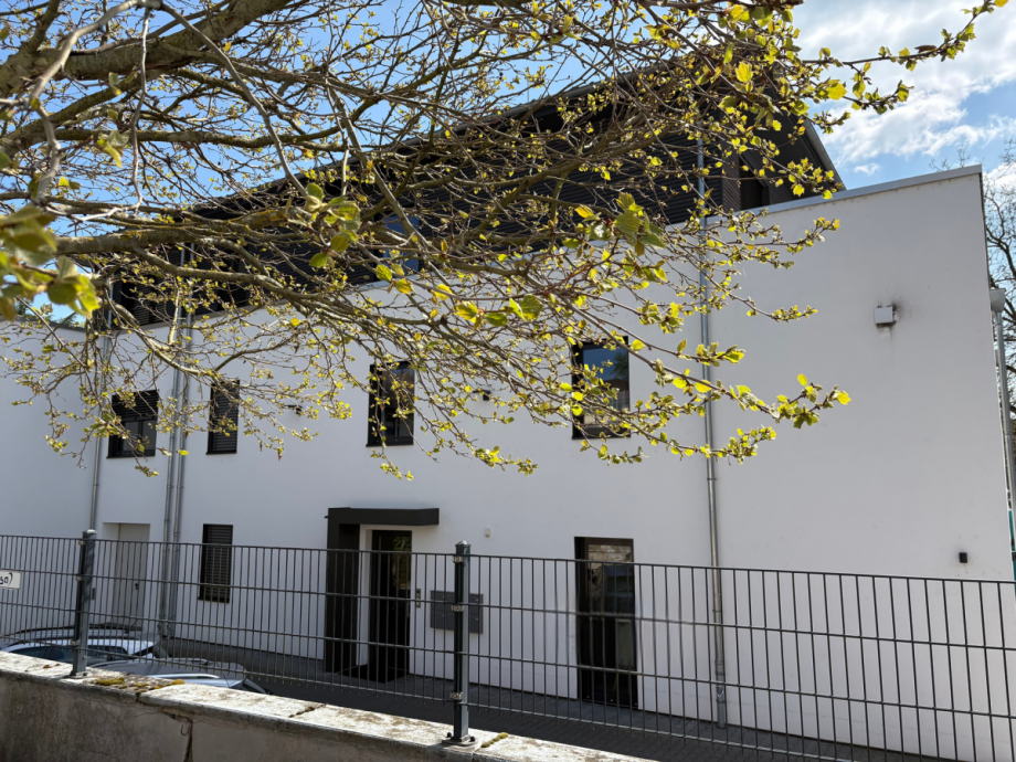 Wohnung Bad Sobernheim Wohnung Bad Sobernheim