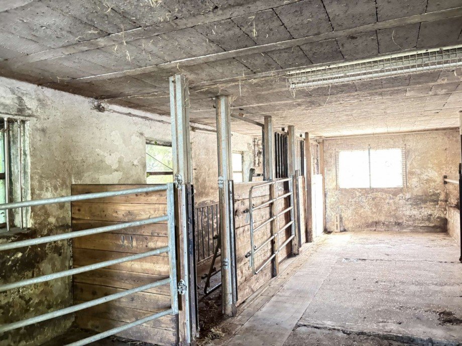 Pferdebox Haus Schwarzerden