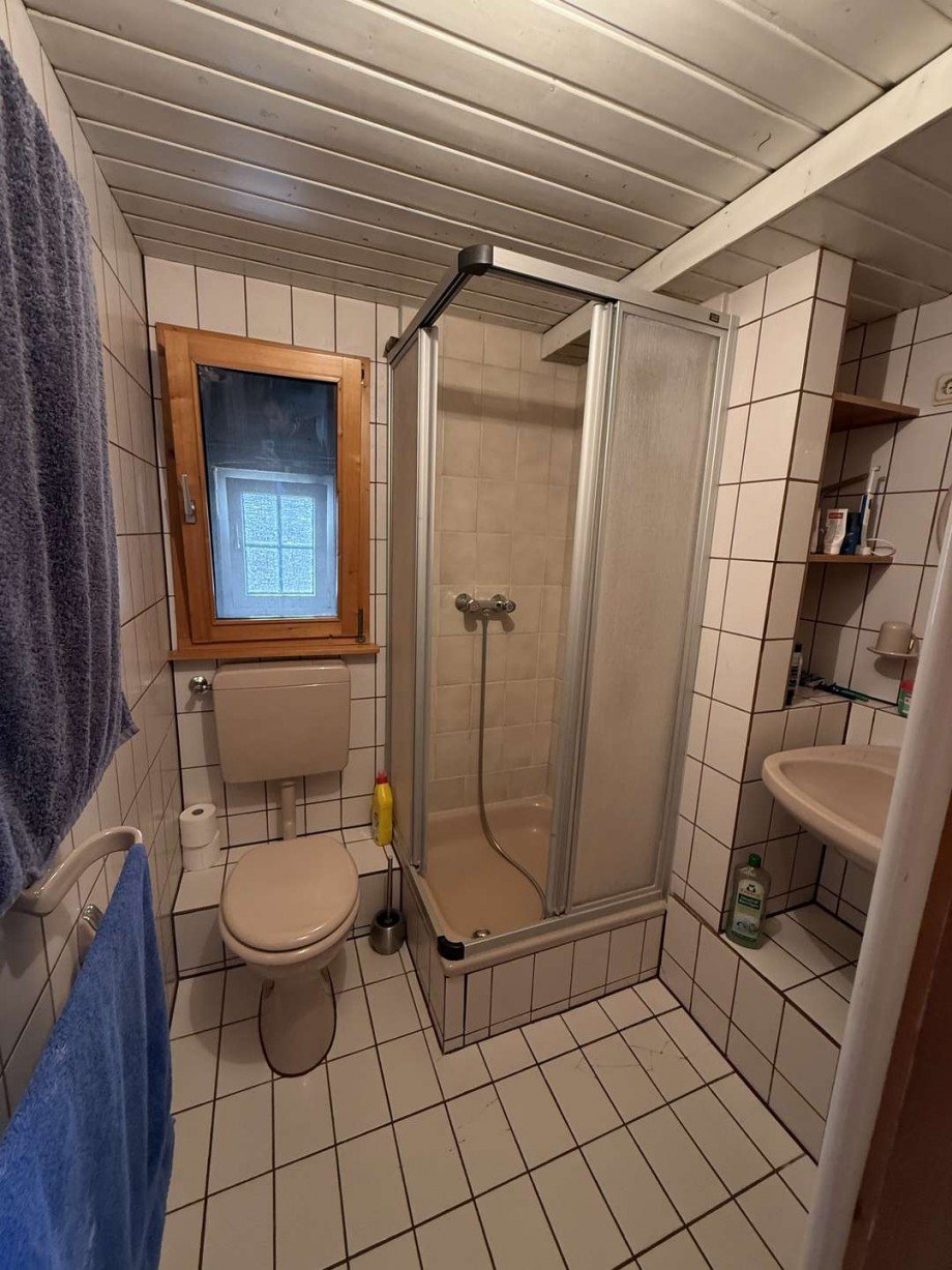 Bad DG Zweifamilienhaus Meddersheim