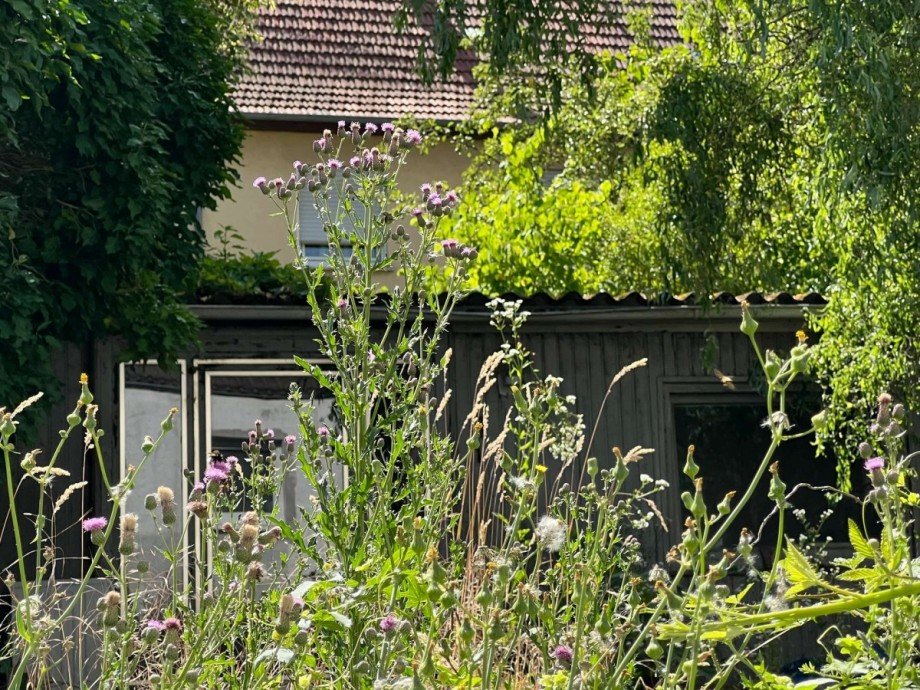 Gartenhaus Einfamilienhaus Lauschied
