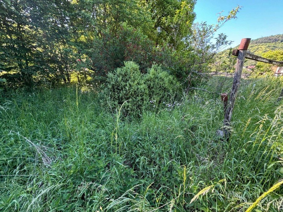 Separates Gartengrundst�ck Zweifamilienhaus Callbach