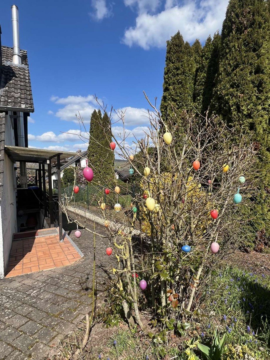 Blick zur Kellertreppe und Aussenkamin v Zweifamilienhaus Meddersheim