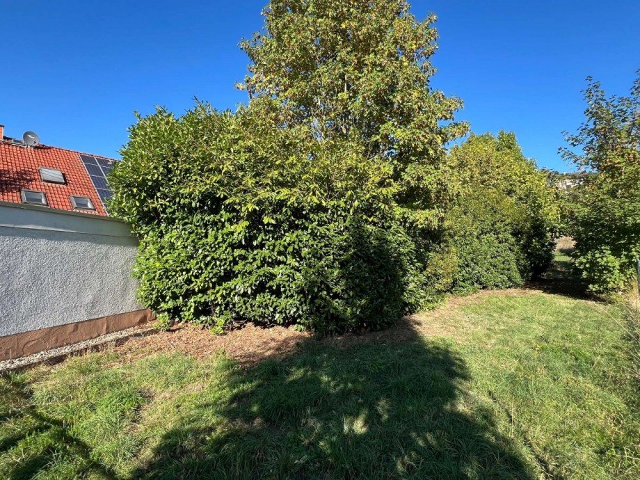 Zufahrt Baugrundst�ck Wohngrundst�ck Monzingen