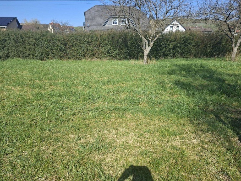 Baugrundst�ck Renditeobjekt Waldb�ckelheim