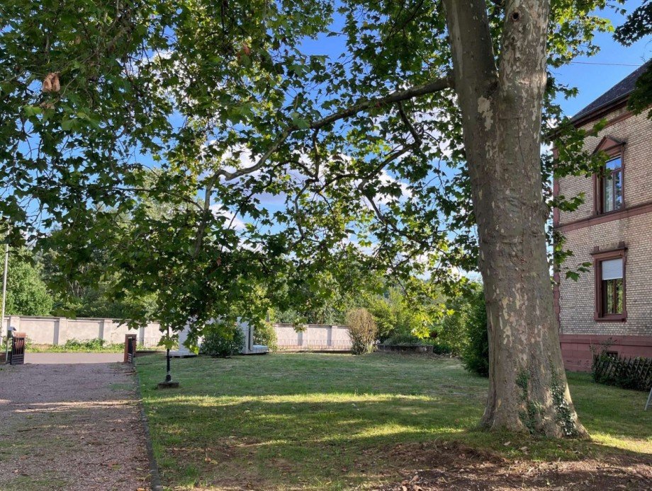 Einfahrt vor Haus Einfamilienhaus Bad Sobernheim