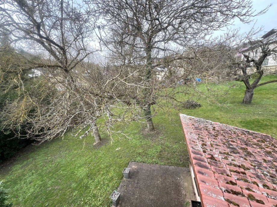 Gartenansicht Renditeobjekt Obermoschel
