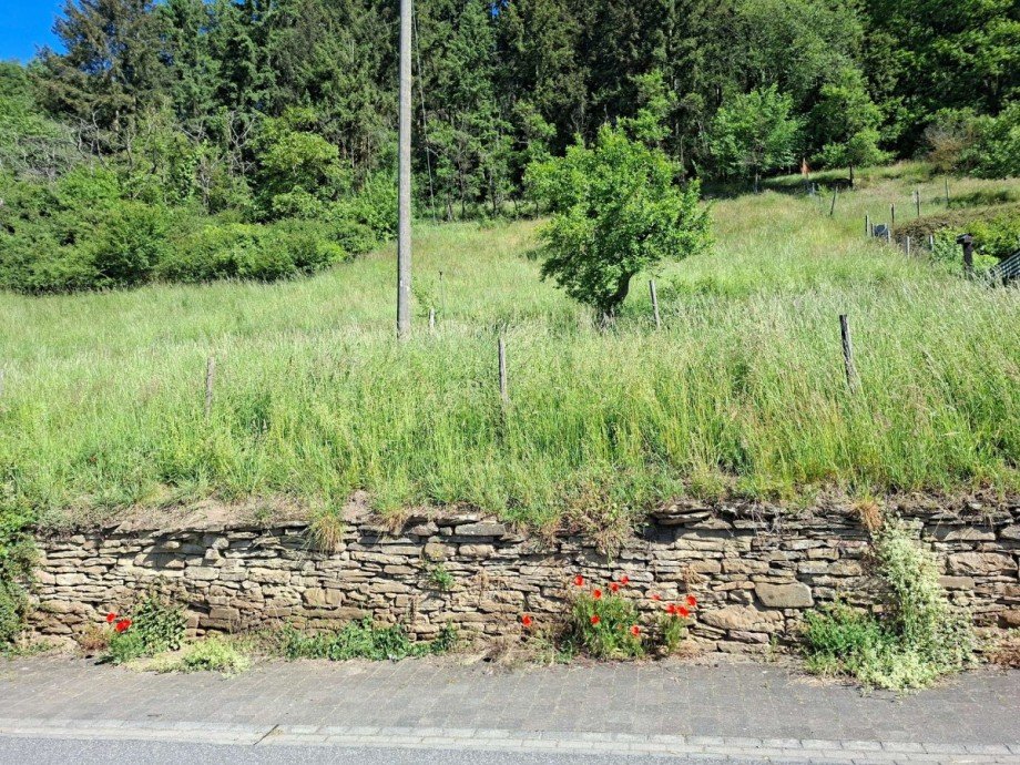 Bauplatz Grundst�ck Schmittweiler