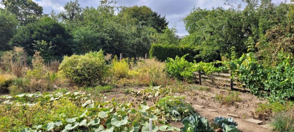 Separates Gartengrundst�ck Einfamilienhaus Desloch