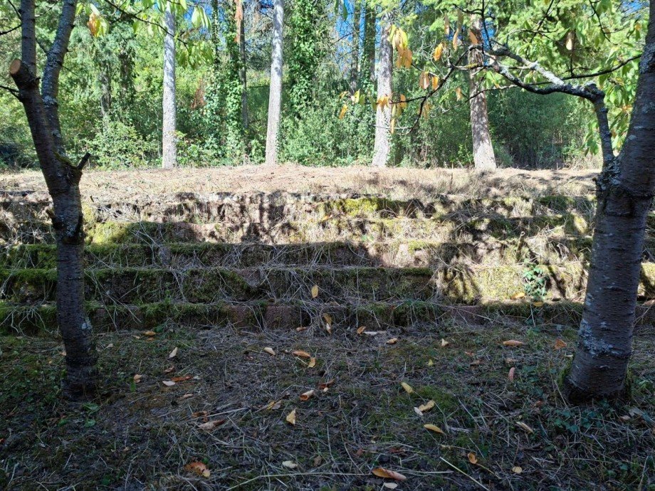 Gartengrundst�ck Haus Waldb�ckelheim