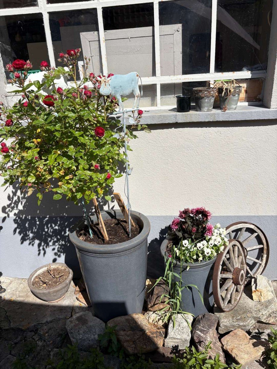 Terrasse Haus Schwarzerden