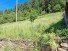 Hauptbild Baugrundst�ck Ortslage Schmittweiler + Erholungsfl�chen in Schmittweiler zu verkaufen