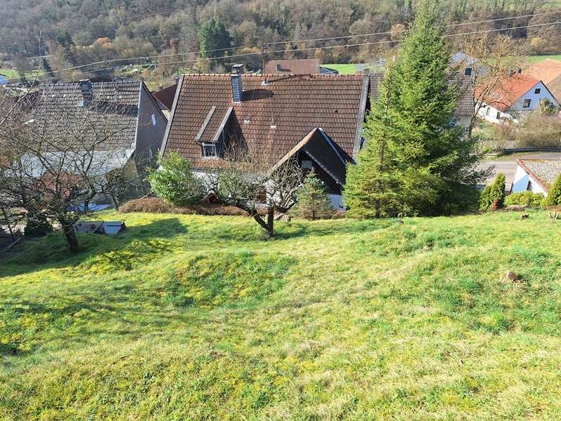 Grundst�ck Einfamilienhaus Monzingen