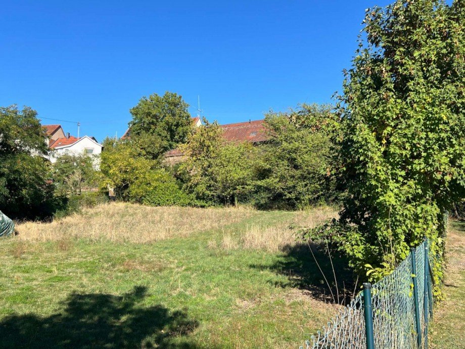Baugrundst�ck Wohngrundst�ck Monzingen