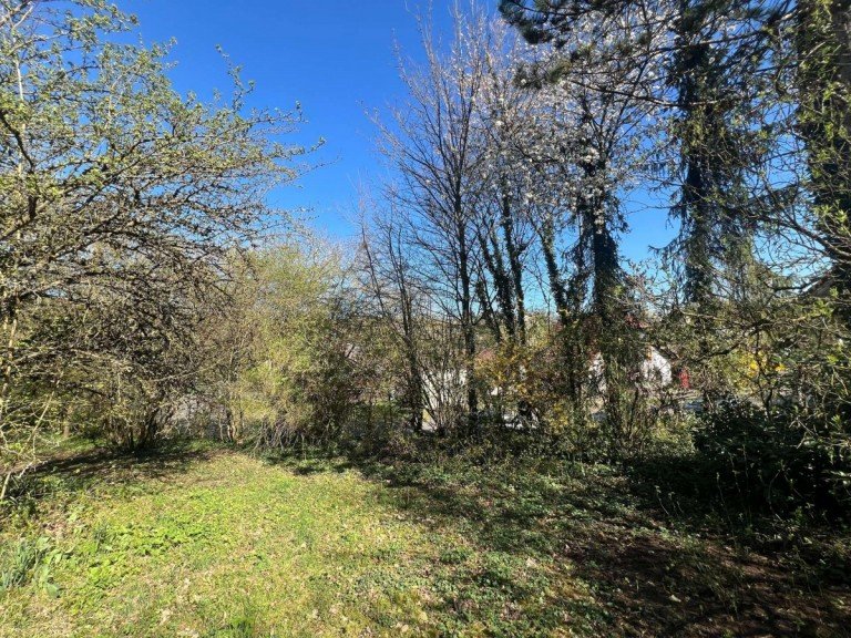Grundst�ck Nu�baum Grundst�ck Gro�es, voll erschlossenes Baugrundst�ck in Nu�baum/Bad Sobernheim, zu verkaufen!