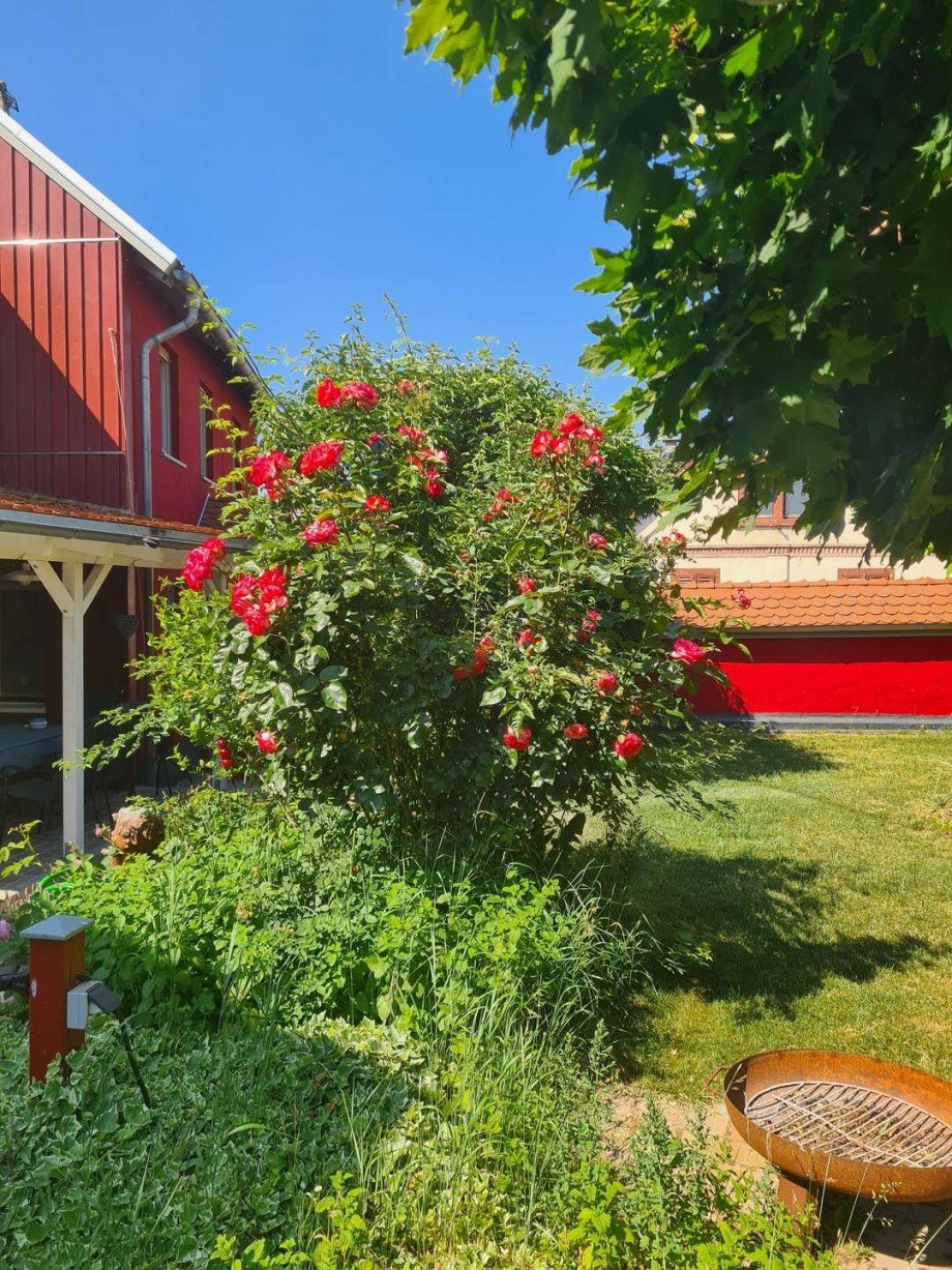 Blick auf Gr�nfl�che Renditeobjekt Hargesheim