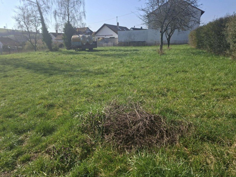 Baugrundst�ck Grundst�ck Waldb�ckelheim