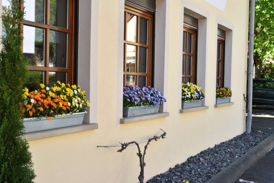 Eingangsbereich Pensionen Martinstein